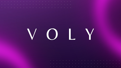 Voly logo image